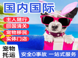 青岛航空物流国际宠物托运 【国